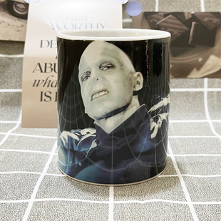 哈利波特HarryPotter斯莱特林伏地魔陶瓷马克杯咖啡茶水杯子进口