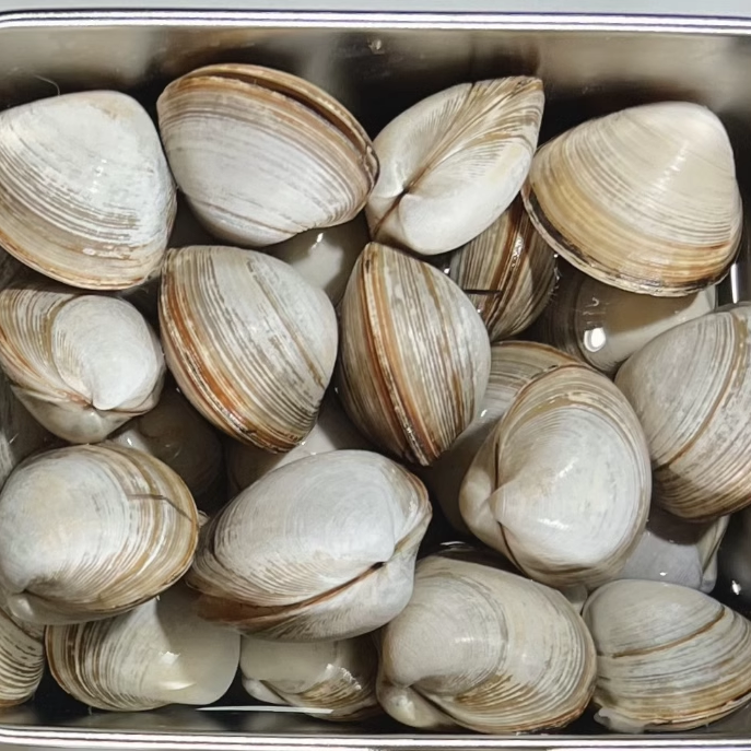 丹东东港白蚬子保鲜鲜活非花甲已经去沙大规格 两斤、三斤包顺丰