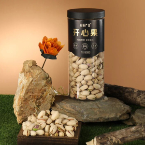 辰颐严选开心果罐装450g/罐坚果年货休闲零食 罐装