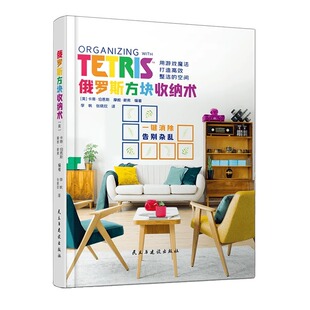 现货正版 俄罗斯方块收纳术 电子游戏书 用游戏魔法打造高效整洁的空间全方位居家收纳宝典 游戏机画集画册 精美彩色插画 纵横图书