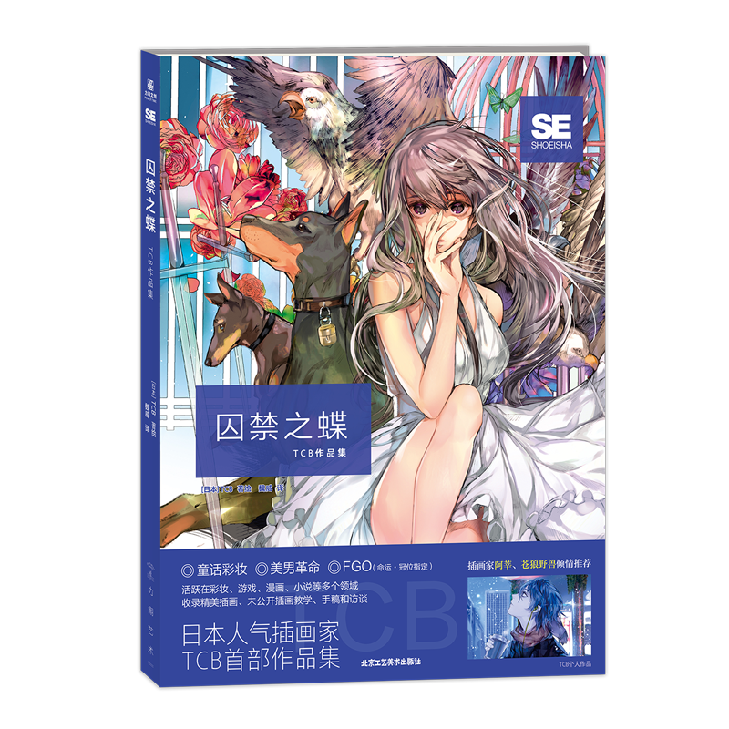 正版 囚禁之蝶：TCB作品集 虚拟偶像艾克·伊芙兰设计者TCB初画集 以“忧伤”作为美丽的源泉  首本个人正式画集 力潮文创