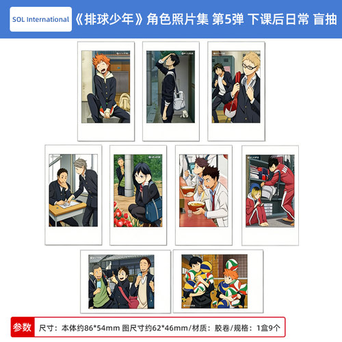 日本正版 排球少年!! 角色照片集 第5弹 下课后日常 盲抽周边谷子