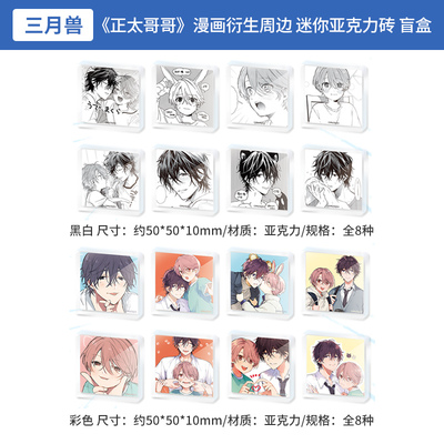 日本正版 正太哥哥 漫画衍生周边 迷你亚克力砖盲盒 周边谷子
