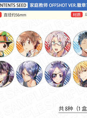CS 家庭教师REBORN 水彩 旁观者 offshot 吧唧 立牌挂件 周边谷子