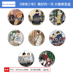 日本正版排球少年 美好的一天 大徽章吧唧盲抽 日向翔阳 周边谷子