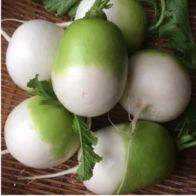 湖北随州广水半头青白萝卜本地白萝卜5斤,水产肉类/新鲜蔬果/熟食,萝卜/胡萝卜,淘宝优惠券,粉丝福利购,淘宝优惠卷