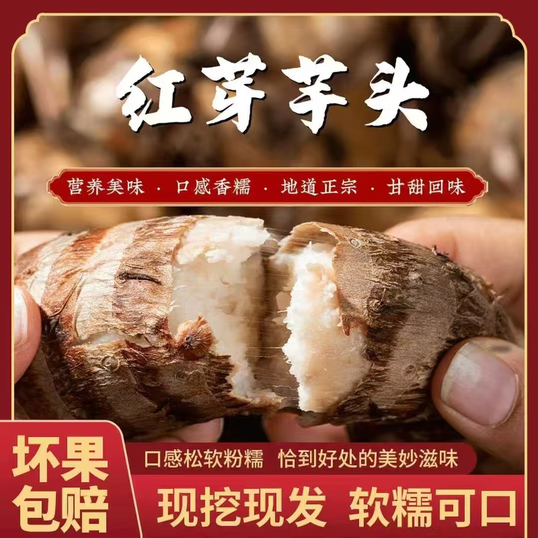 浙江红芽芋头现挖新鲜粉糯毛芋头