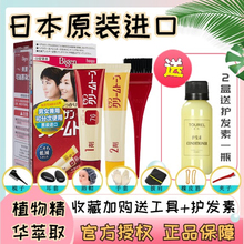 日本进口美源可瑞慕染发剂膏原装植物纯快速黑发霜男女士遮盖白发