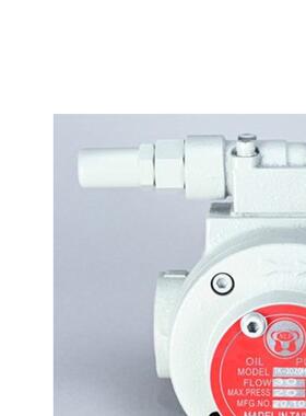 新款TK3015 3020台湾志观同款摆线泵  齿轮泵 中心出水切削液包邮