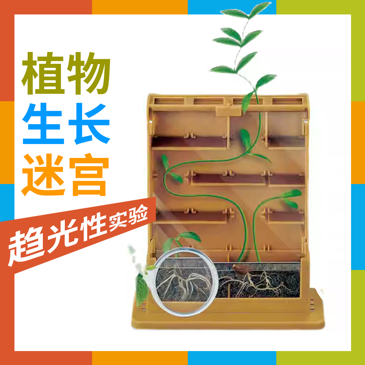 儿童科学植物生长迷宫趋光性实验