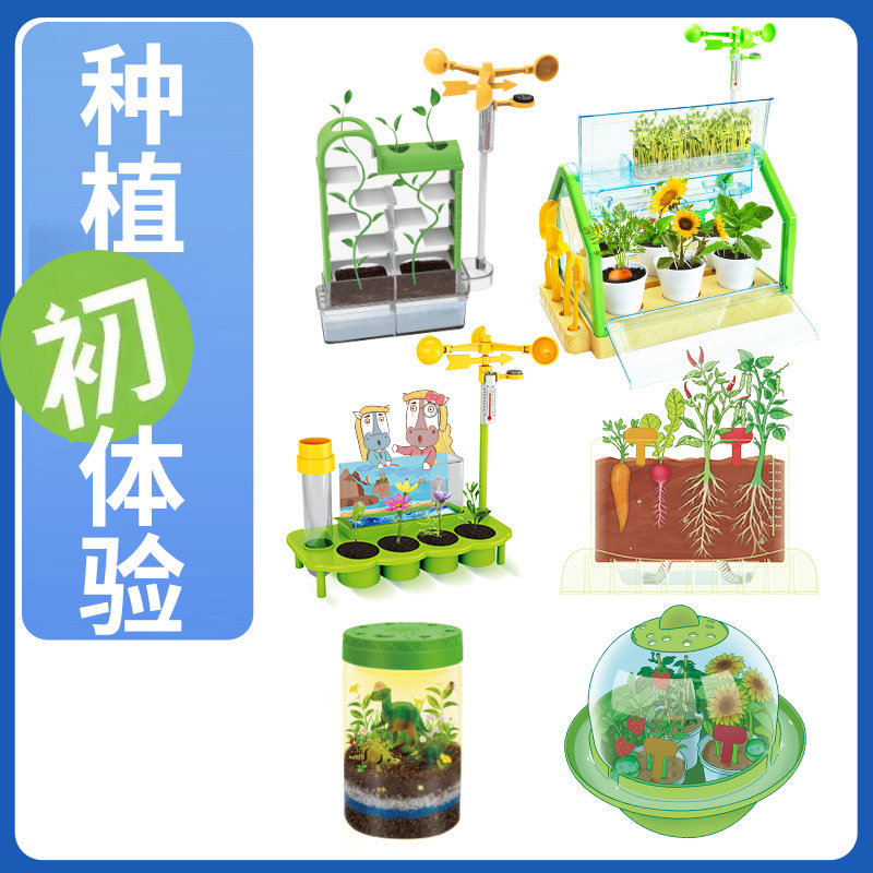 儿童学农体验种植阳光房种子泥土套装学生室内种菜养花草工具材料