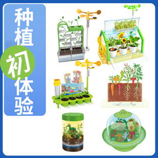 儿童学农体验种植阳光房种子泥土套装学生室内种菜养花草工具材料