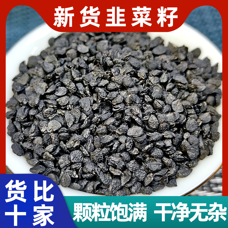 野生韭菜籽中药材500g野生韭菜籽菟丝子沙苑子枸杞子锁阳泡酒泡茶