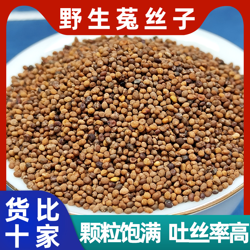 菟丝子中药材500g内蒙野生正品旗舰店菟丝子泡水泡茶泡酒兔丝子