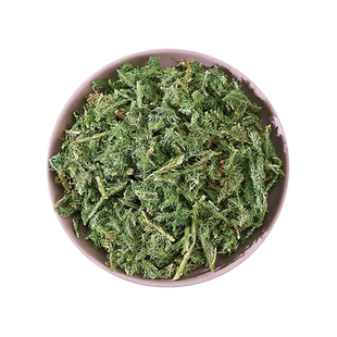 伸筋草中药材新鲜500g克泡脚包小伸筋草的作用石松申筋草有海风藤
