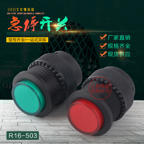 R16-503BD复位点动开关按钮开关