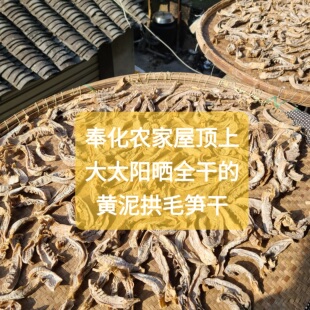 25年新晒奉化农家毛笋干浙江黄泥拱毛竹笋烧肉煲汤500克包邮