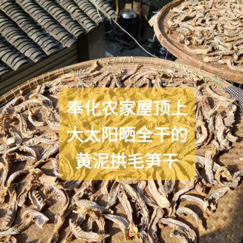 26年新晒奉化农家毛笋干浙江野生黄泥拱春毛竹笋片嫩鲜烧肉煲汤