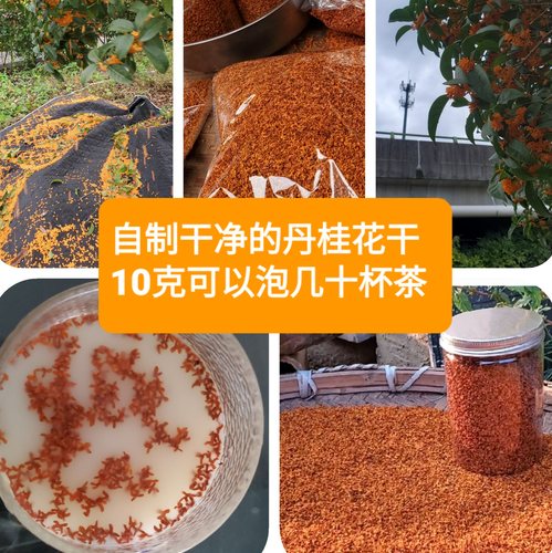 奉化天然桂花丹桂香浓色美桂花干可泡水做蜜饯干净无杂质