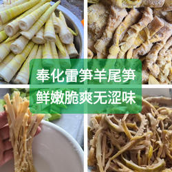 25年新奉化羊尾笋干宁波特产盐渍咸笋尖雷笋野山笋腌笃鲜煲汤凉拌