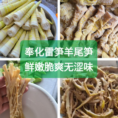 奉化羊尾笋野山笋腌笃鲜凉拌煲汤
