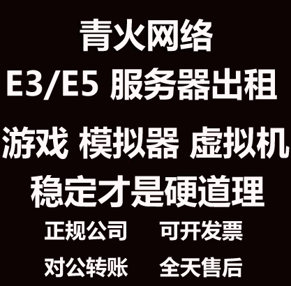 E3E5I9I5电脑出租云游戏服务器租用游戏工作室虚拟机模拟器多开