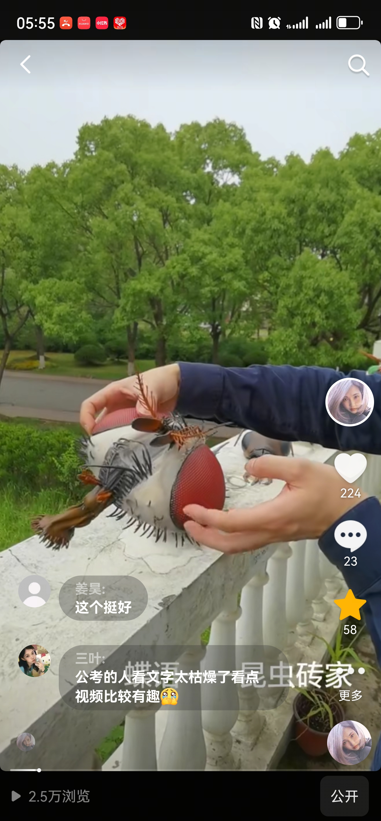 昆虫口器模型科普教育教具