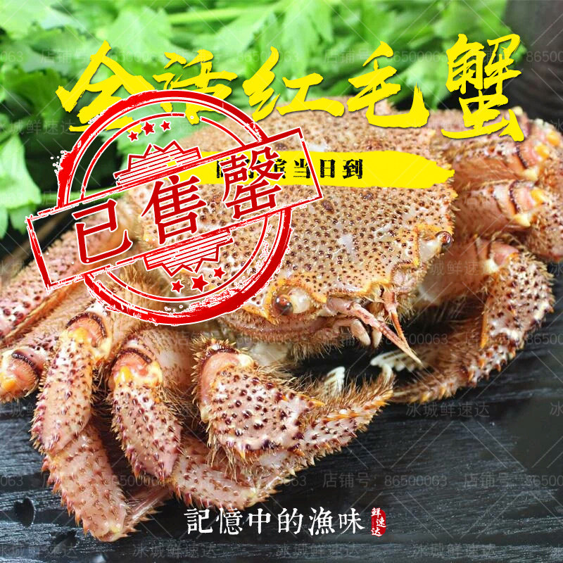 哈尔滨直发闪送 红毛蟹鲜活水产野生海鲜大毛蟹螃蟹一只