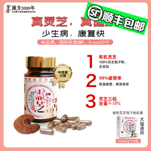宠康灵灵芝孢子粉营养油狗猫增强体质术后提升免疫补充营养