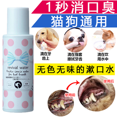 日本orp特许宠物狗猫咪口腔