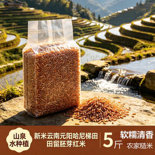 云南元阳哈尼梯田胚芽红米5斤农家新米泉水灌溉软糯清香煮粥焖饭