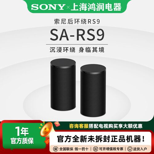 Sony/索尼SA-RS8RS9SW9