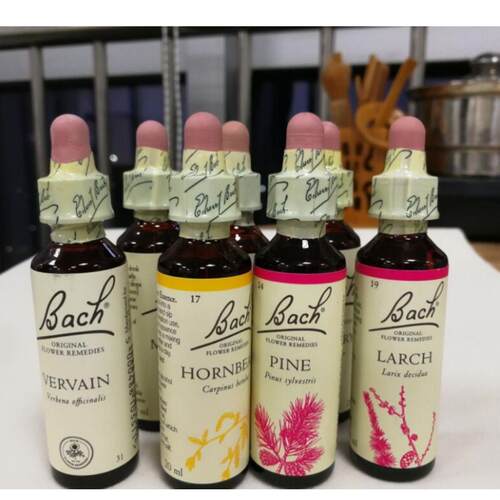 BACH巴赫花精情绪疗愈缓解焦虑