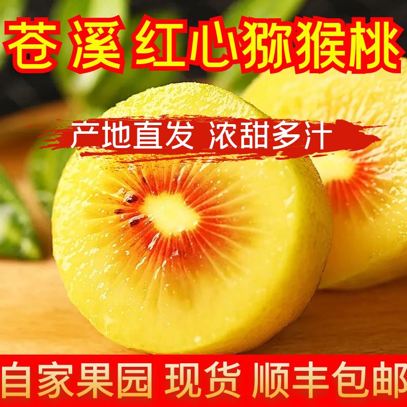 苍溪红心猕猴桃 产地直销 新鲜 孕妇  鲜果 奇异果 黄肉 新鲜水果