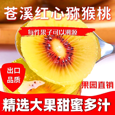 黄肉红心苍溪红心猕猴桃