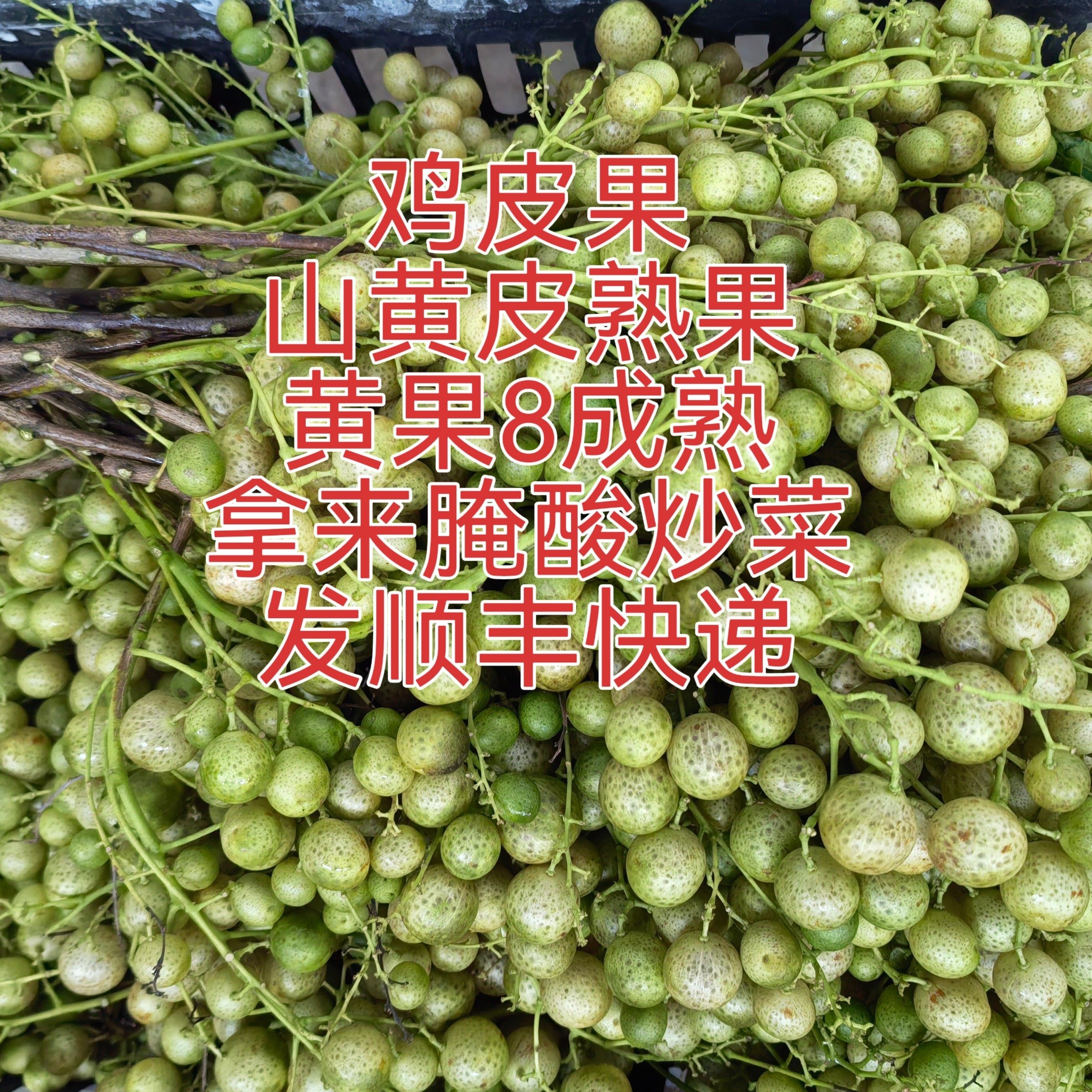 顺丰广西特产鸡皮果山黄皮果熟果黄果新鲜采摘带枝发货做调味料