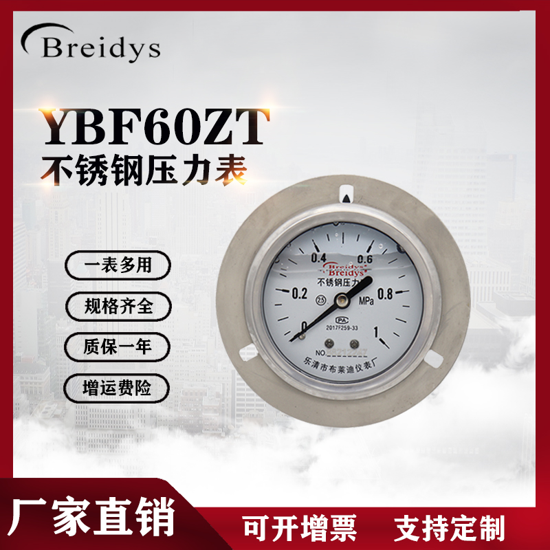 Breidys温州全不锈钢带边压力表