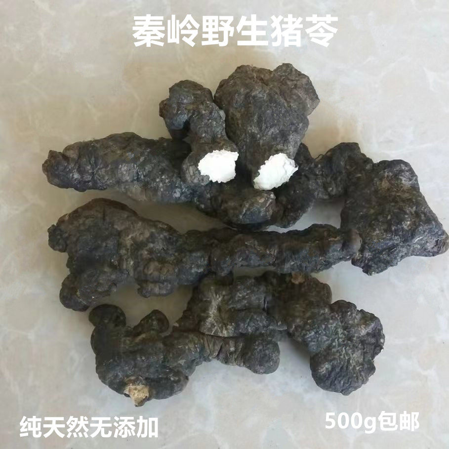 秦岭野生中药材猪苓无硫泡酒泡茶500g包邮