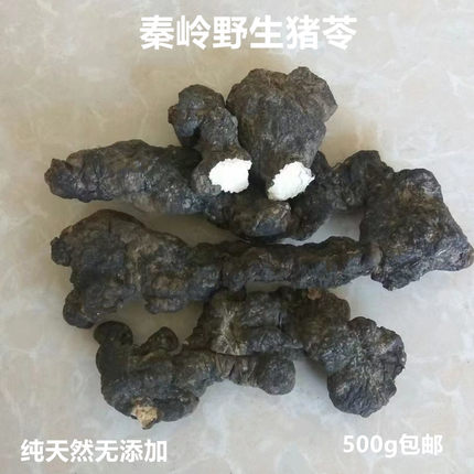 秦岭野生中药材猪苓无硫泡酒泡茶500g包邮