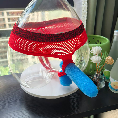 男士内裤性感镂空开口档丁字T裤