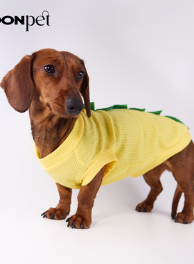 狗狗猫咪宠物衣服夏季薄款透气趣味恐龙背心腊肠比熊博美幼小型犬