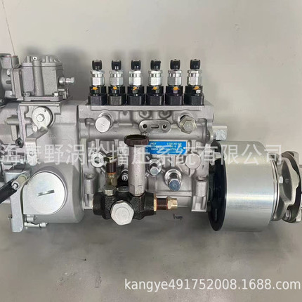 喷油泵 22010-E0020 092000-5530和22010-E0320 092000-5410