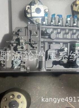 国产的喷油泵106673-417C和0400678040和106673-2141 106061-5480