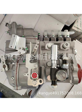 喷油泵B4PN540E6E-Z  1001996627Z  BH4PN120R