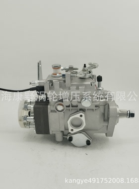 喷油泵104661-3031 32B65-10130和104642-7611 129919-51500