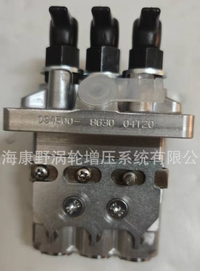 燃油泵094500-7040 094500-5160-8630和094500-2330和6674676