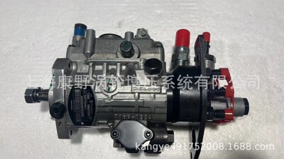 适用卡特珀金斯原装德尔福的喷油泵8924A541T 2643D644 高压油泵