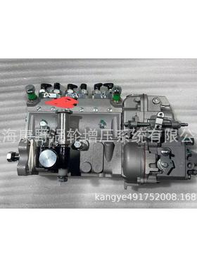 国产喷油泵101695-3050 101065-0406和191000-9891 6151-71-1553