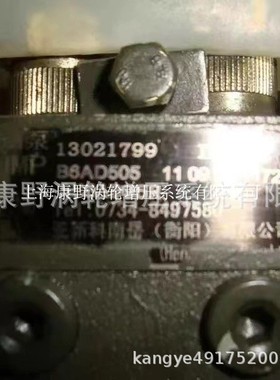 原装喷油泵 13021799 B6AD505 BH6AD95R和10402376075 13021363