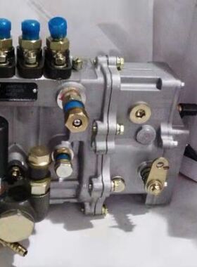 喷油泵4QTE32和BH4QT95R9 4QTE36Q和 4QTD018和 4QTE70和4Q301-1